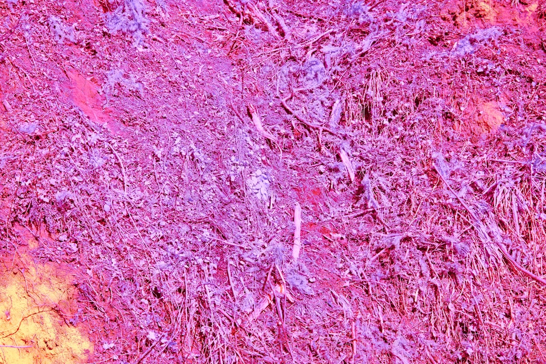 tele-oncology is the use of telecommunications technology to provide cancer care remotely, improving access to specialists and enhancing patient support.