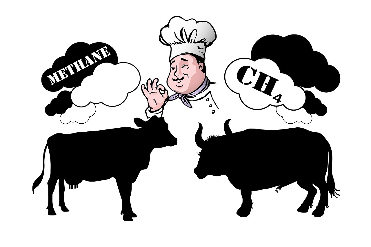 learn about common pollutants, their sources, and their impact on the environment and human health. discover ways to reduce pollution and protect the planet.