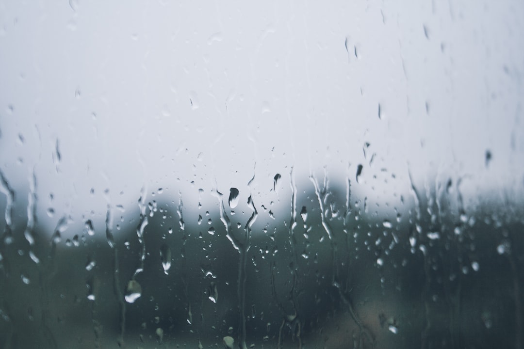 explore the importance of transparency in building trust, fostering open communication, and promoting accountability in all aspects of life and business.